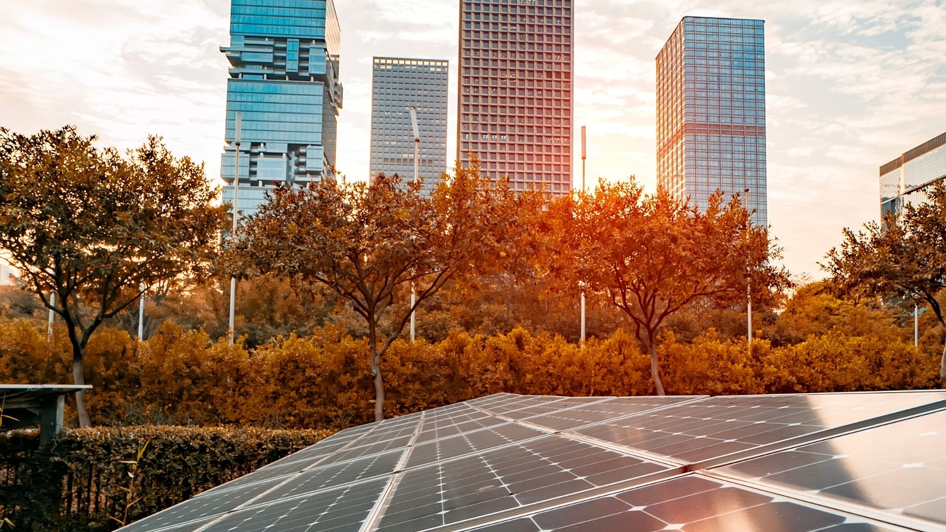 Energy Gain UK LTD website photo