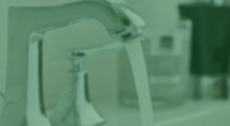 Princes LHS Ltd website photo