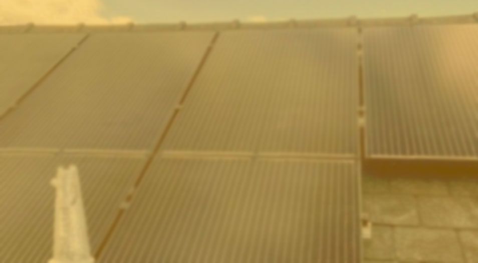 Princes LHS Ltd website photo