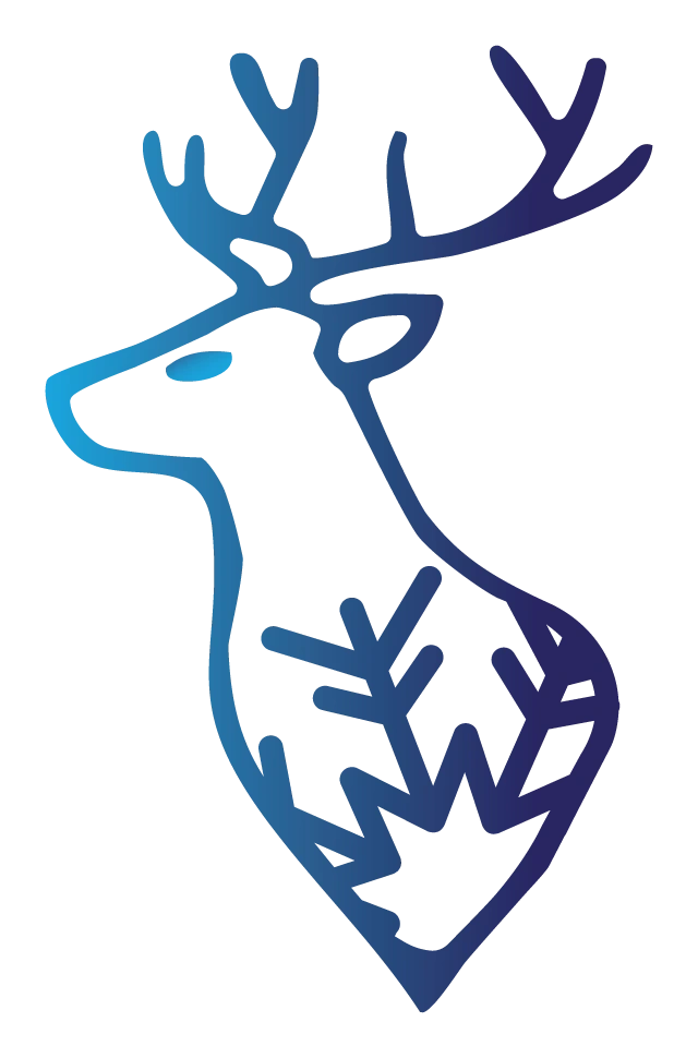 New Forest Refrigeration website photo
