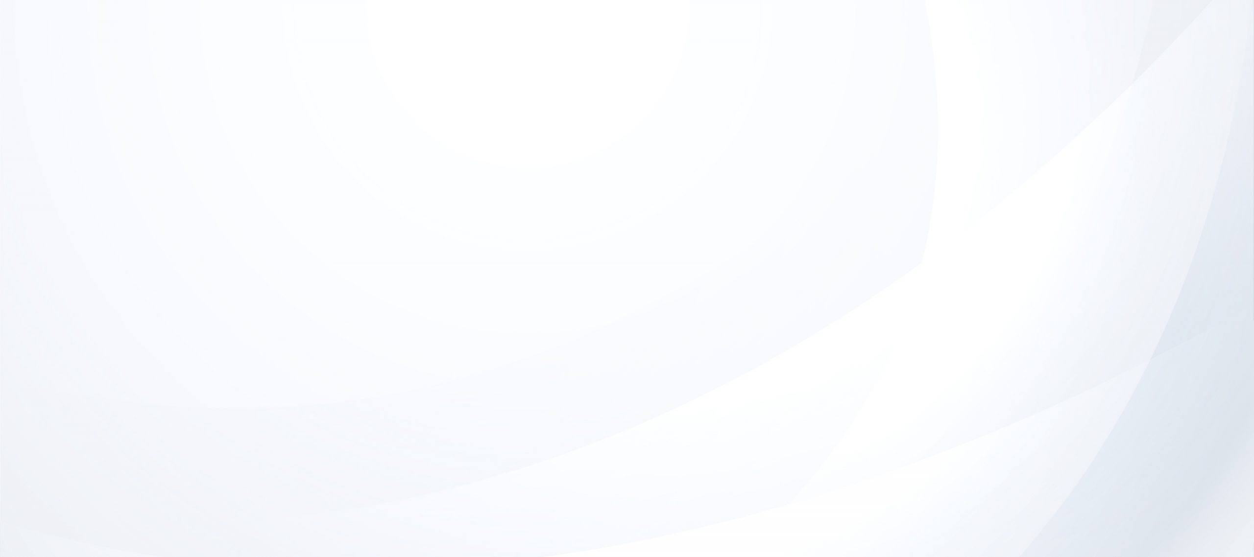 System Force IT website photo