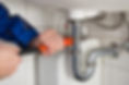 C &N Domestics Ltd website photo