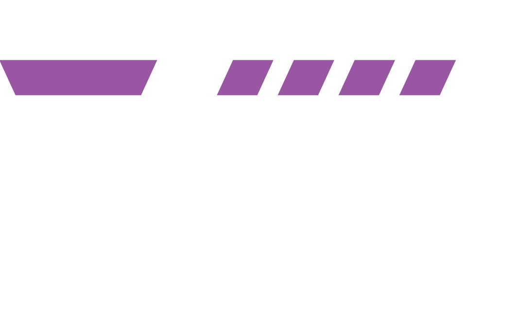 VWS Ltd logo