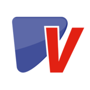 ViC Group logo