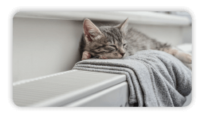 Carbin Heating Ltd website photo