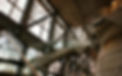 IAM website photo